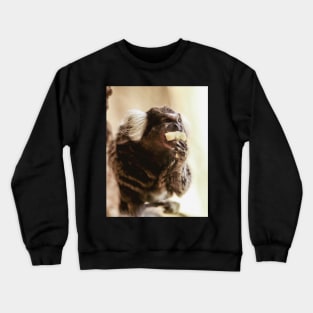 Marmoset | Unique Beautiful Travelling Home Decor | Phone Cases Stickers Wall Prints | Scottish Travel Photographer  | ZOE DARGUE PHOTOGRAPHY | Glasgow Travel Photographer Crewneck Sweatshirt